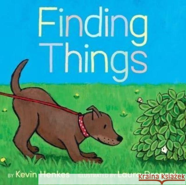 Finding Things Kevin Henkes 9780063245662 HarperCollins Publishers Inc - książka