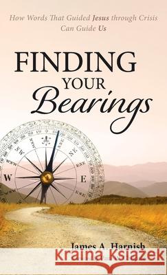 Finding Your Bearings James A. Harnish Paul W. Chilcote 9781725295872 Cascade Books - książka