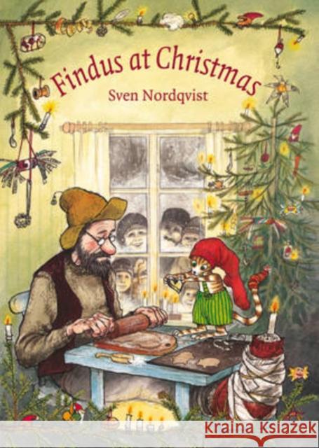 Findus at Christmas Sven Nordqvist 9781907359057 Hawthorn Press - książka
