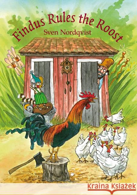 Findus Rules the Roost Sven Nordqvist 9781907359873 Hawthorn Press - książka