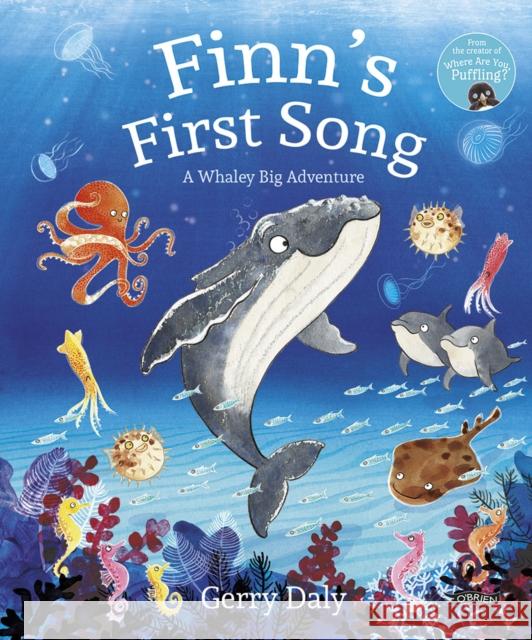 Finn's First Song: A Whaley Big Adventure Gerry Daly 9781788495592 O'Brien Press Ltd - książka