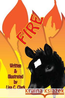 Fire Lisa C. Clark 9781500697402 Createspace - książka