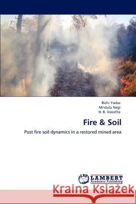 Fire & Soil Richi Yadav Mridula Negi H. B. Vasistha 9783848486793 LAP Lambert Academic Publishing - książka