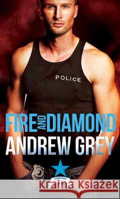 Fire and Diamond: Volume 6 Andrew Grey 9781641084932 Dreamspinner Press LLC - książka