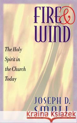 Fire and Wind: The Holy Spirit in the Church Today Small, Joseph D. 9780664501723 Geneva Press - książka
