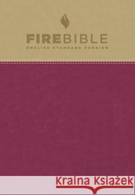 Fire Bible-ESV Donald Stamps J. Wesley Adams 9781619701496 Hendrickson Publishers - książka