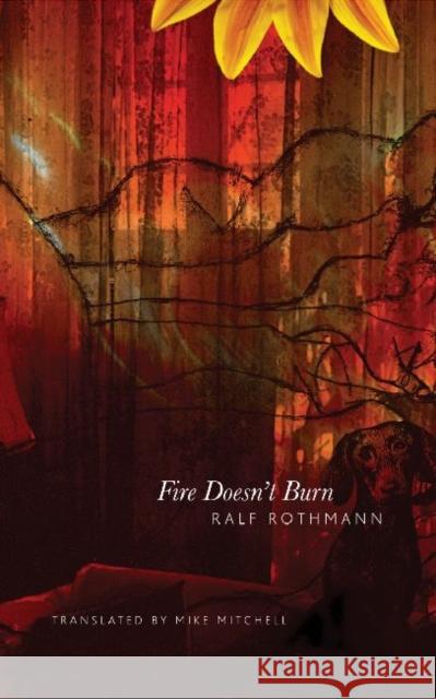 Fire Doesn't Burn Ralf Rothman Mike Mitchel 9780857420473 Seagull Books - książka