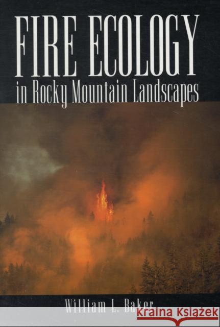 Fire Ecology in Rocky Mountain Landscapes William Baker 9781597261838  - książka