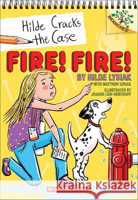 Fire! Fire! Gail Gibbons 9780808594253 Tandem Library - książka