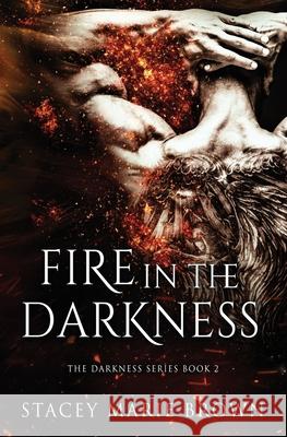 Fire in the Darkness Stacey Marie Brown 9781547110742 Createspace Independent Publishing Platform - książka