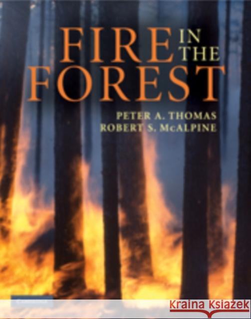 Fire in the Forest Peter Thomas 9780521822299  - książka