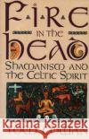 Fire in the Head: Shamanism and the Celtic Spirit Tim Cowan 9780062501745 HarperCollins Publishers Inc