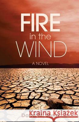 Fire in the Wind Dana Stein 9781947825765 Yorkshire Publishing - książka