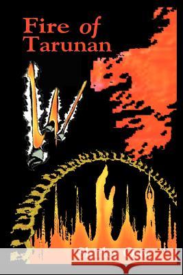 Fire of Tarunan Shirley Ouw 9780595182565 Writers Club Press - książka