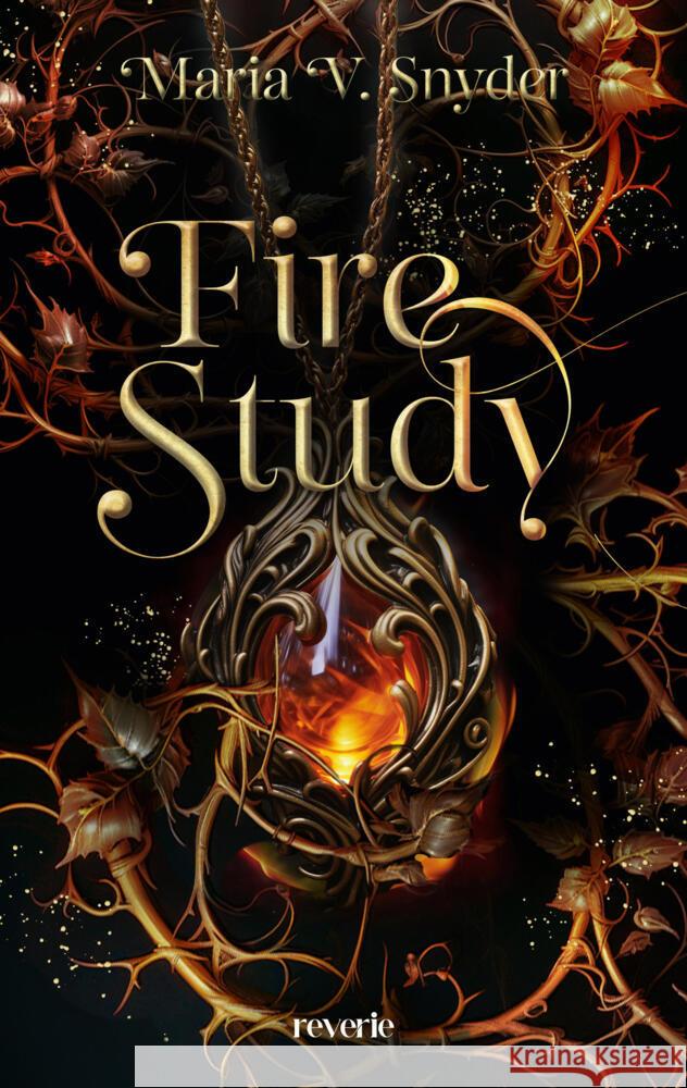 Fire Study Snyder, Maria V. 9783745704624 Reverie - książka