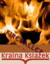 Fireballer: Serial Killer or Victim? MR Charles Flower 9781530992775 Createspace Independent Publishing Platform