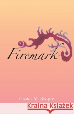Firemark Jessica M. Brophy 9781635345148 Finishing Line Press - książka
