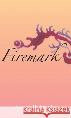 Firemark Jessica Brophy 9781635345155 Finishing Line Press - książka