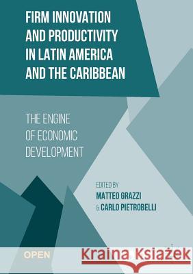 Firm Innovation and Productivity in Latin America and the Caribbean: The Engine of Economic Development Inter-American Development Bank 9781349581504 Nature Pub Group/Palgrave Macm - książka