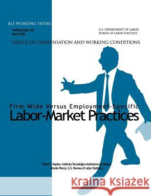 Firm-Wide Versus Employment-Specific Labor-Market Practices David S. Kaplan 9781491214480 Createspace - książka