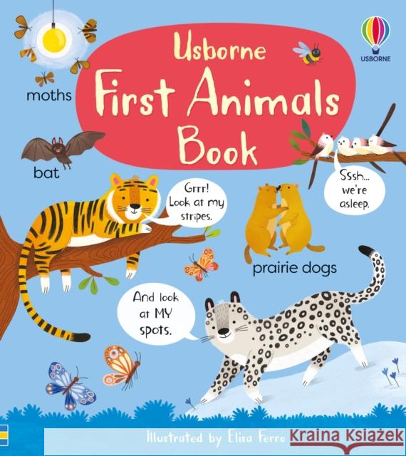 First Animals Book Matthew Oldham 9781801314763 Usborne Publishing Ltd - książka