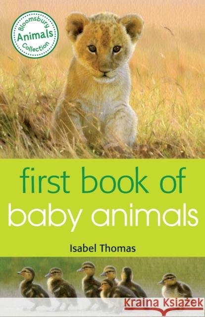 First Book of Baby Animals Isabel Thomas 9781472904003 A & C Black Children's - książka