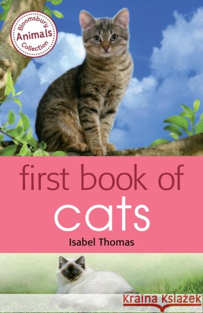 First Book of Cats Isabel Thomas 9781472903983 A & C Black Children's - książka