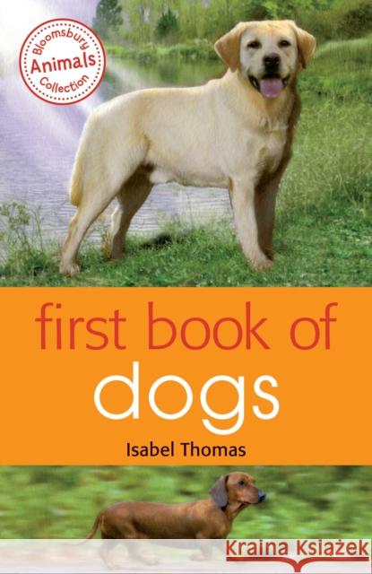 First Book of Dogs Isabel Thomas 9781472903976 A & C Black Children's - książka