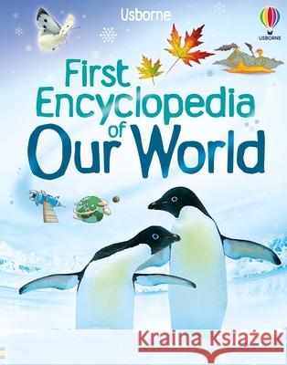 First Encyclopedia of Our World Felicity Brooks David Hancock 9781835404997 Usborne Books - książka