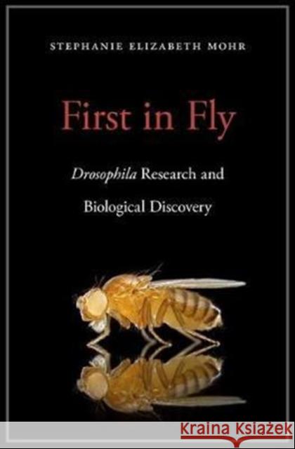 First in Fly: Drosophila Research and Biological Discovery Stephanie Elizabeth Mohr Fiona Martin 9780674971011 Harvard University Press - książka