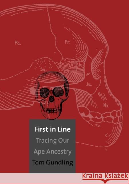 First in Line: Tracing Our Ape Ancestry Gundling, Tom 9780300180176 Yale University Press - książka