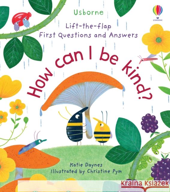 First Questions and Answers: How Can I Be Kind KATIE DAYNES 9781474989008 Usborne Publishing Ltd - książka