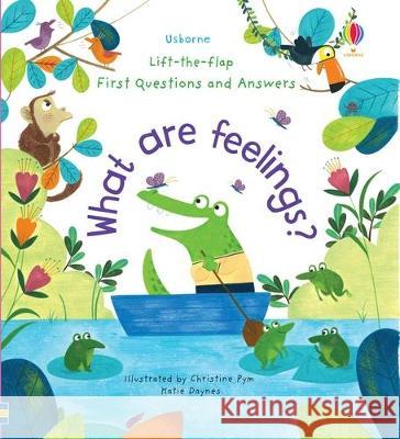 First Questions and Answers: What Are Feelings? Katie Daynes Christine Pym 9781805317685 Usborne Books - książka