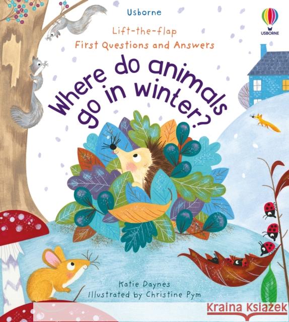 First Questions and Answers: Where Do Animals Go In Winter? Katie Daynes 9781474982139 Usborne Publishing Ltd - książka