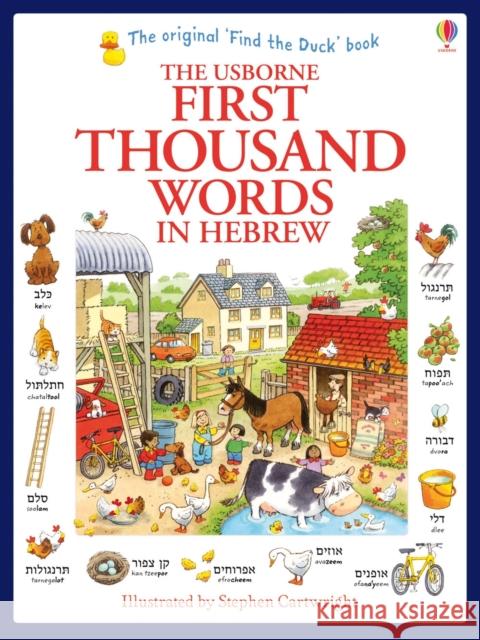 First Thousand Words in Hebrew Heather Amery 9781409570363 Usborne Publishing Ltd - książka