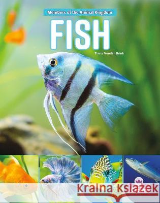 Fish Tracy Vonder Brink 9781039800847 Crabtree Crown - książka