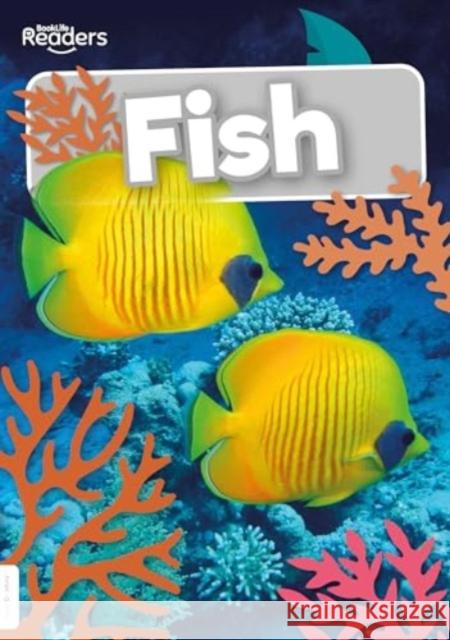 Fish Steffi Cavell-Clarke 9781805051046 BookLife Publishing - książka