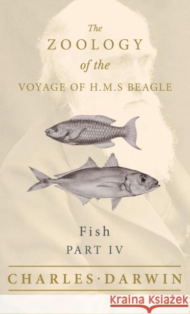 Fish - Part IV - The Zoology of the Voyage of H.M.S Beagle: Under the Command of Captain Fitzroy - During the Years 1832 to 1836 Darwin, Charles 9781528771870 Read Books - książka
