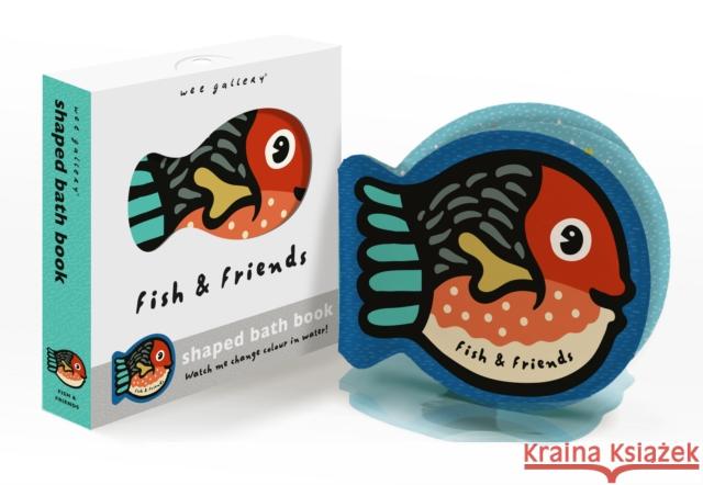 Fish and Friends: Watch me change colour in water! Surya Sajnani 9780711296190 Quarto Publishing PLC - książka