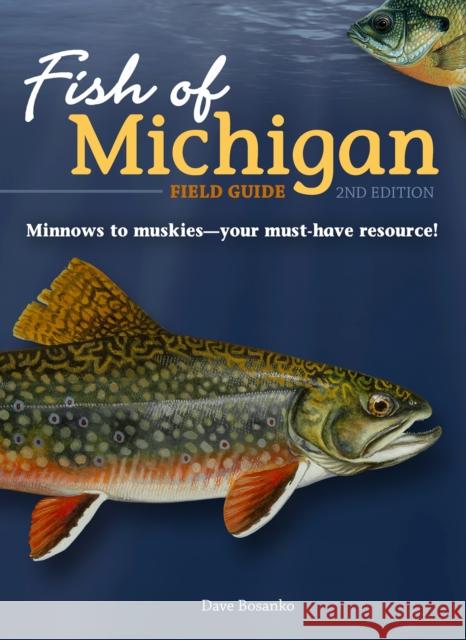 Fish of Michigan Field Guide Dave Bosanko 9781647550455 Adventure Publications - książka
