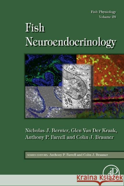 Fish Physiology: Fish Neuroendocrinology: Volume 28 Bernier, Nicholas J. 9780123746313  - książka