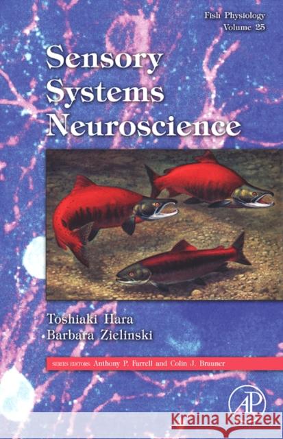 Fish Physiology: Sensory Systems Neuroscience: Volume 25 Hara, Toshiaki J. 9780123504494 Academic Press - książka