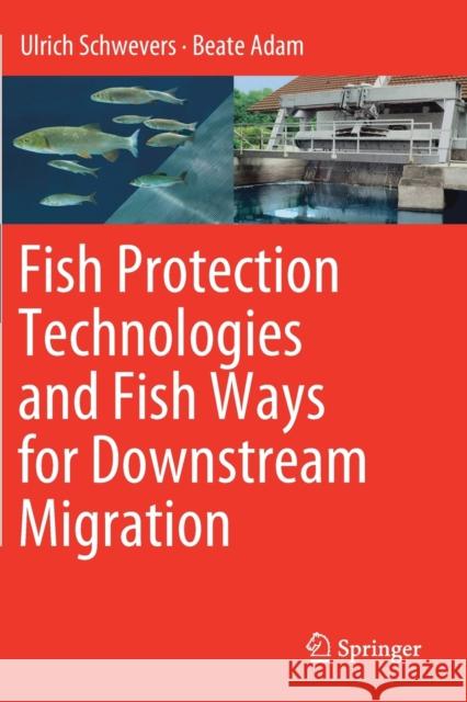 Fish Protection Technologies and Fish Ways for Downstream Migration Ulrich Schwevers Beate Adam 9783030192440 Springer - książka