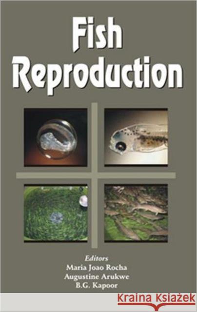 Fish Reproduction  9781578083312 SCIENCE PUBLISHERS,U.S. - książka