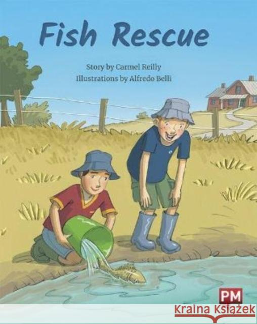 FISH RESCUE CARMEL REILLY 9780170329187 SCHOLASTIC LTD - książka