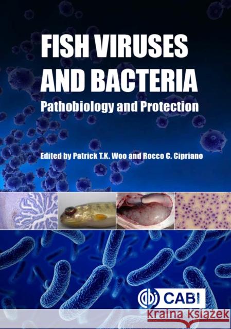 Fish Viruses and Bacteria: Pathobiology and Protection Patrick T. K. Woo R. C. Cipriano 9781780647784 Cabi - książka