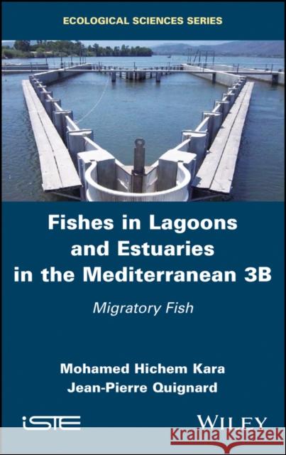 Fishes in Lagoons and Estuaries in the Mediterranean 3b: Migratory Fish Hichem Kara Jean-Pierre Quignard 9781786303912 Wiley-Iste - książka