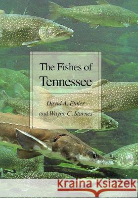 Fishes of Tennessee David A. Etnier Wayne C. Starnes 9780870497117 University of Tennessee Press - książka