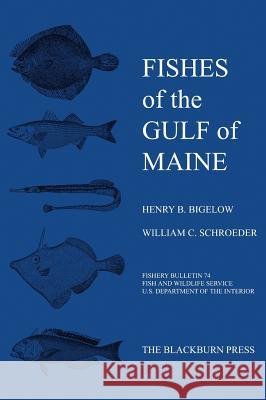 Fishes of the Gulf of Maine: Fishery Bulletin 74 Bigelow, Henry B. 9781930665606 Blackburn Press - książka