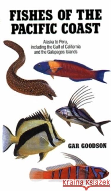 Fishes of the Pacific Coast: From Alaska to Peru Gar Goodson 9780804713856 Stanford University Press - książka